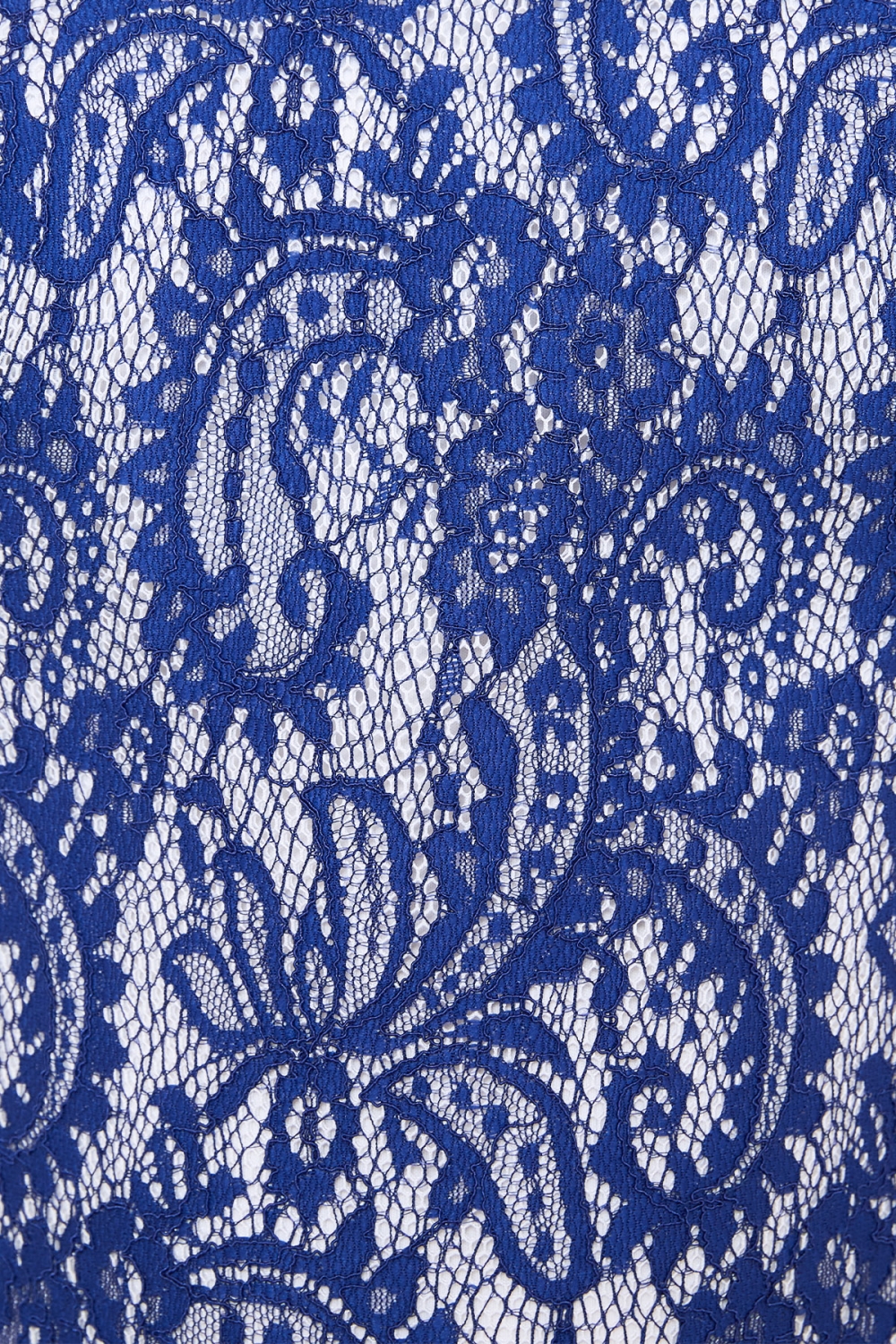 ブルー 刺繍レース フィット&フレアドレス
